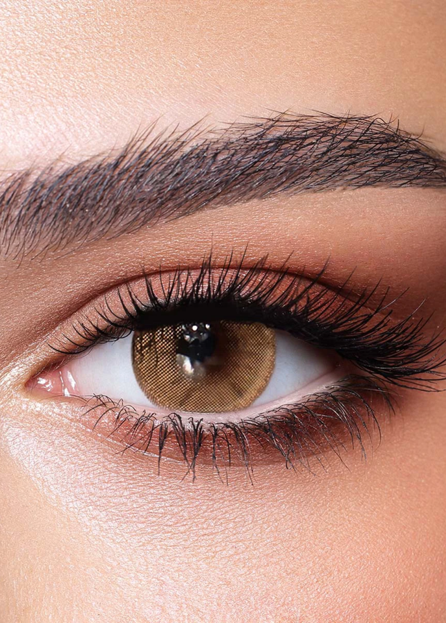 Bella One Day Hazel Beige