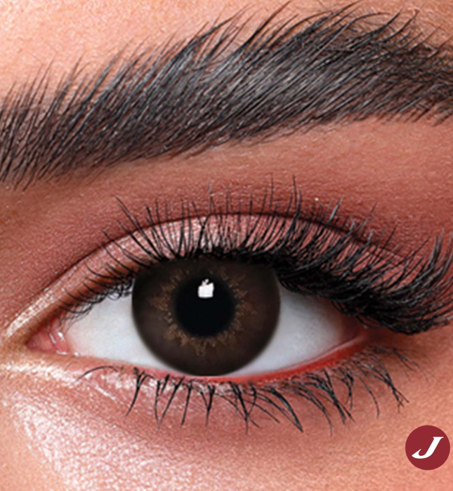Bella Highlight Circle Brown
