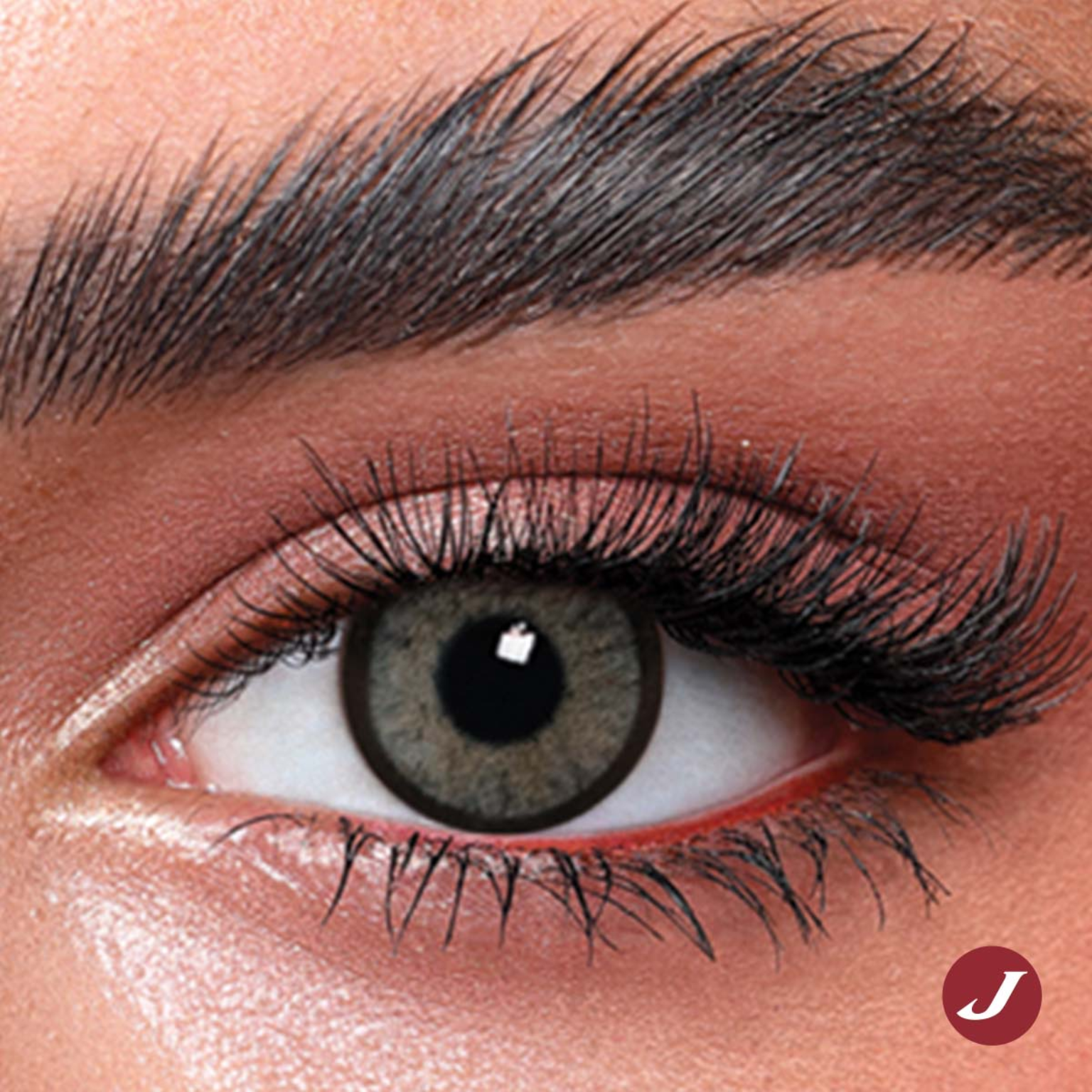Bella Highlight Cool Gray