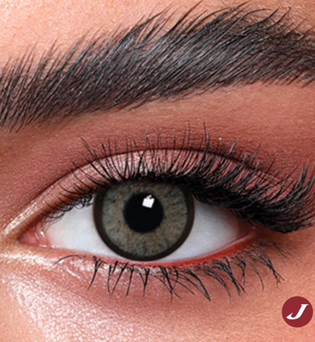 Bella Highlight Cool Gray