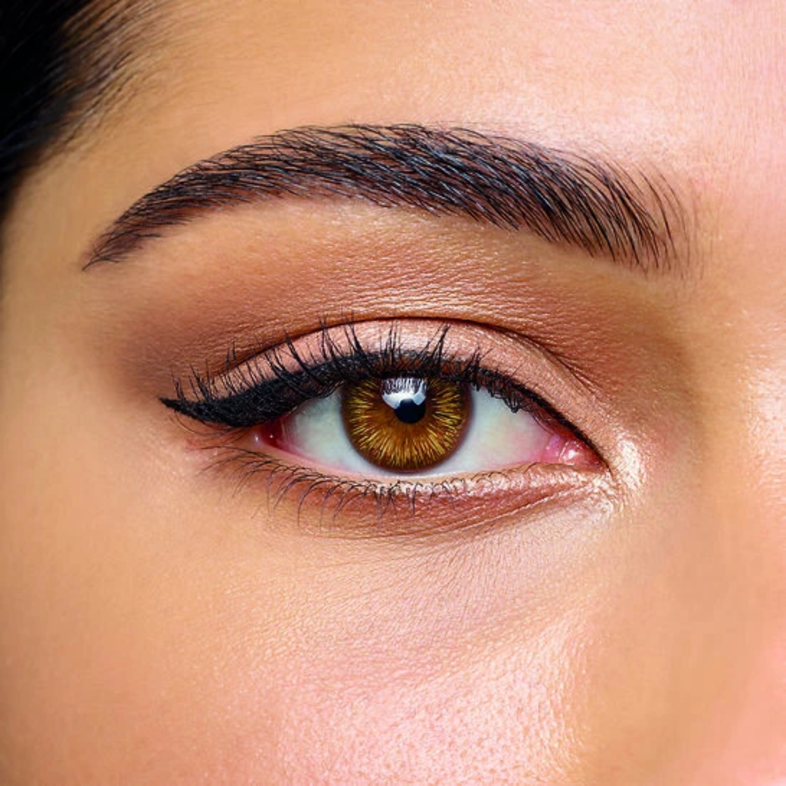 Define Fresh Hazel