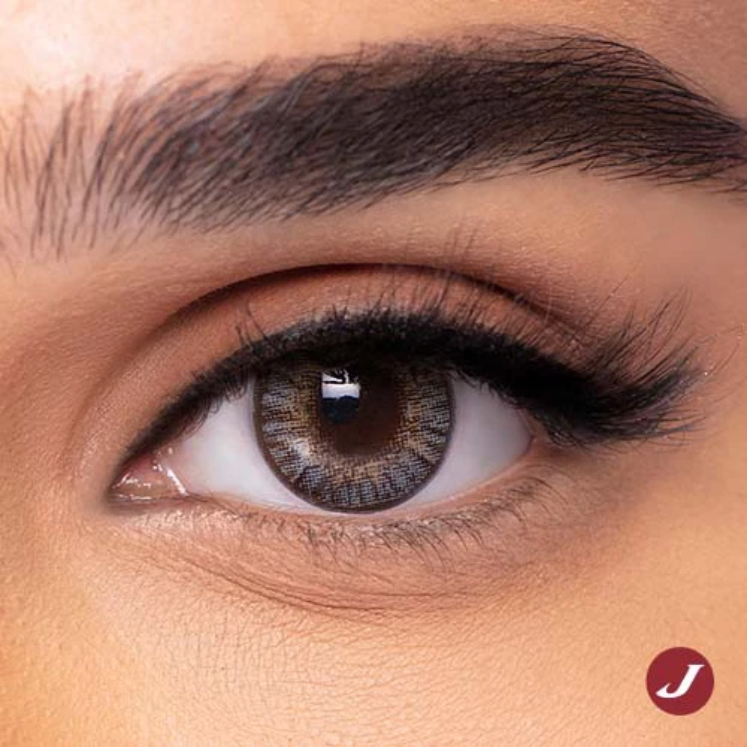 Freshlook Colorblends Gray