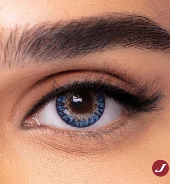Freshlook One day Gray