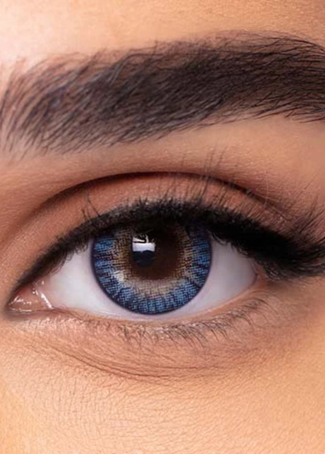 Freshlook One day Gray