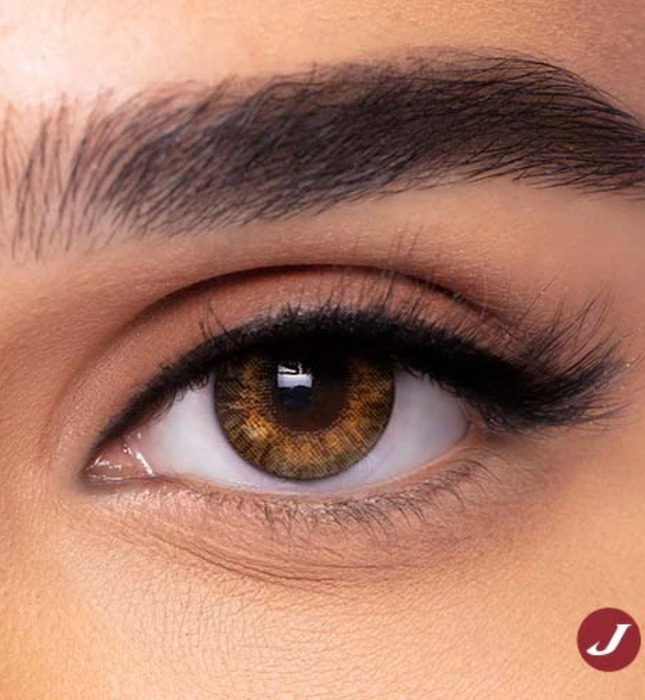 Freshlook One day Pure Hazel