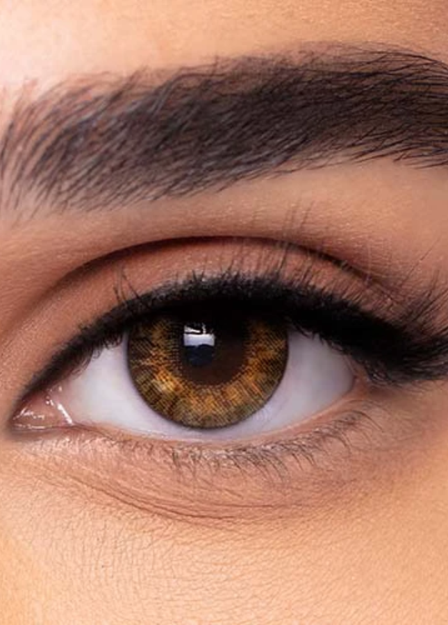 Freshlook One day Pure Hazel