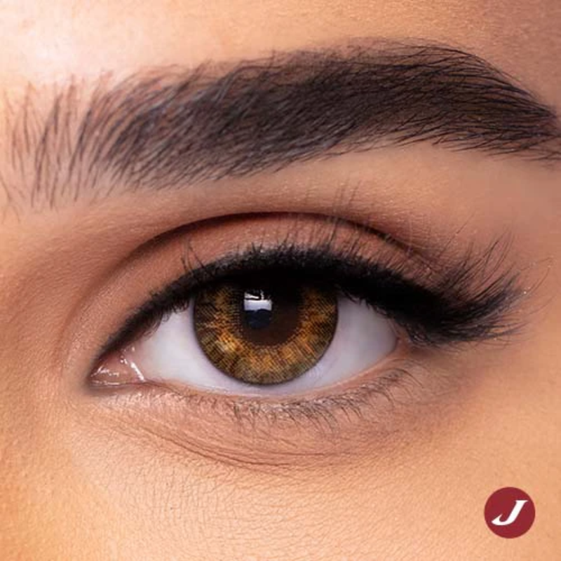 Freshlook One day Pure Hazel